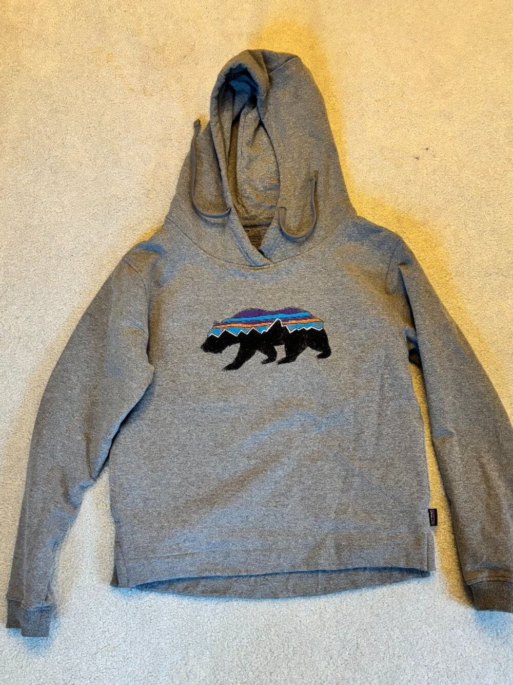 Patagonia Hoodie